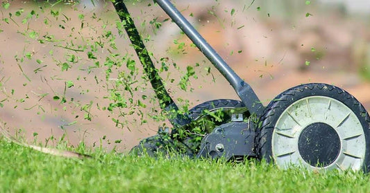 Tagliaerba a batteria in azione sul prato