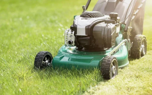 Gas-Powered Lawn Mowers