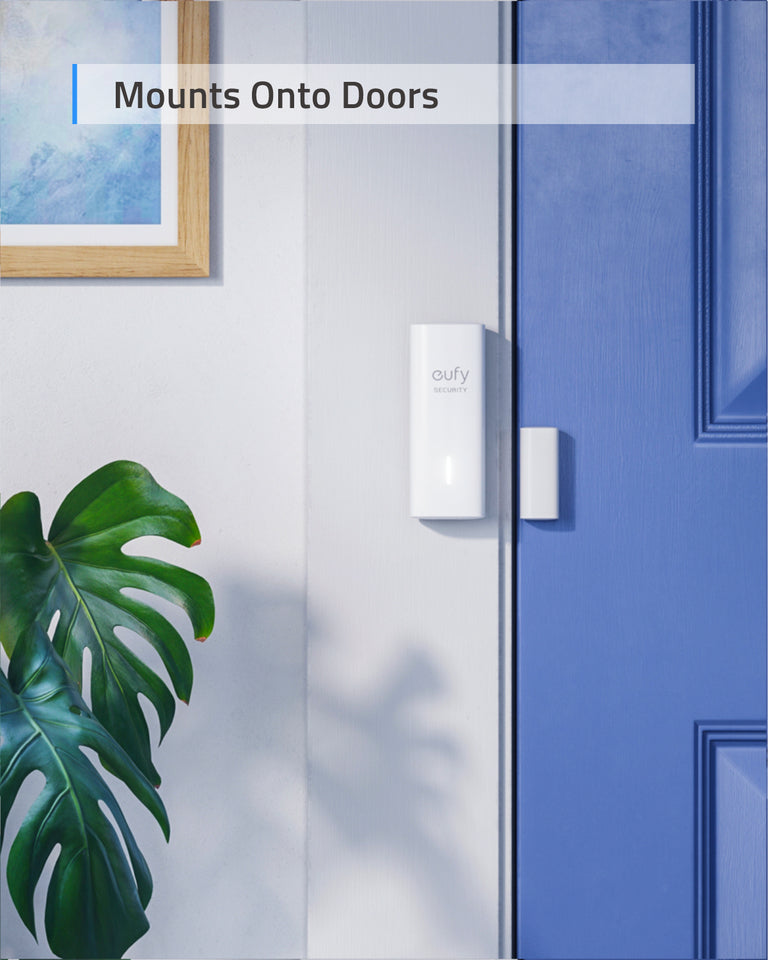 Entry Sensor